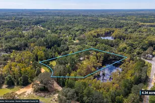 727 Wrights Creek Rd, Caryville, FL 32427 - Photo 52