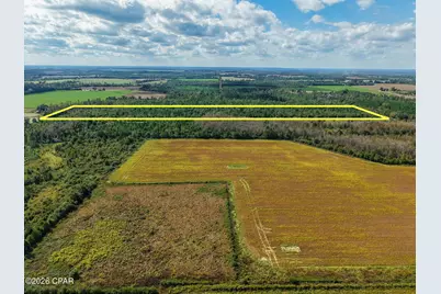 0 Bradley Road, Marianna, FL 32448 - Photo 4