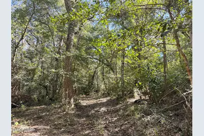 0000 Strickland Road, Ebro, FL 32437 - Photo 16