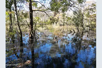 0000 Strickland Road, Ebro, FL 32437 - Photo 8