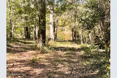 0000 Strickland Road, Ebro, FL 32437 - Photo 20