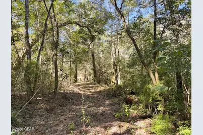 0000 Strickland Road, Ebro, FL 32437 - Photo 18
