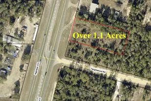 20424 Hwy 231, Fountain, FL 32438 - Photo 1