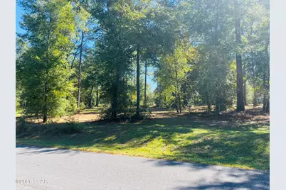 00 Compass Lake Dr, Alford, FL 32420 - Photo 6