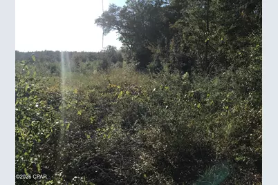 00000 Pate Pond Rd Road, Caryville, FL 32427 - Photo 2