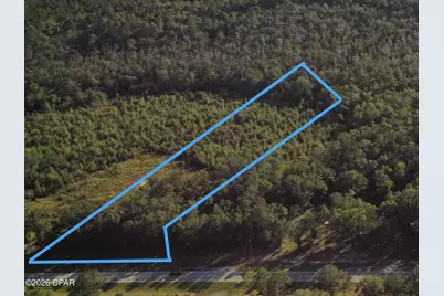 00000 Pate Pond Rd Road, Caryville, FL 32427 - Photo 8