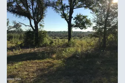00000 Pate Pond Rd Road, Caryville, FL 32427 - Photo 1