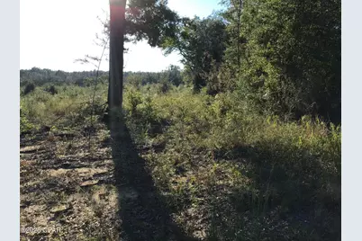 00000 Pate Pond Rd Road, Caryville, FL 32427 - Photo 6