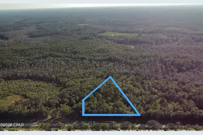 000000 Pate Pond Rd, Caryville, FL 32427 - Photo 12