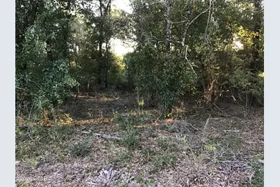 000000 Pate Pond Rd, Caryville, FL 32427 - Photo 10