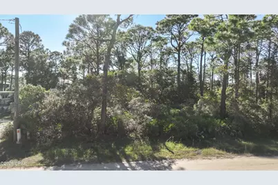 308 Howell Street, Saint George Island, FL 32328 - Photo 16
