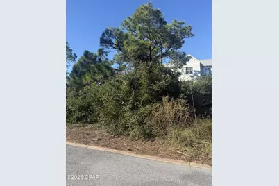 393 Cord Grass Way, Port Saint Joe, FL 32456 - Photo 6