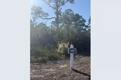393 Cord Grass Way, Port Saint Joe, FL 32456 - Photo 2