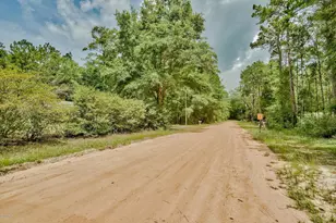 Lots 17-18 Blue Creek Rd, Ponce de Leon, FL 32455 - Photo 1