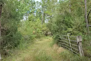 00 Buttercup Ln, Marianna, FL 32446 - Photo 1