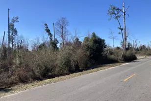 00 E Baldwin Rd, Panama City, FL 32405 - Photo 1