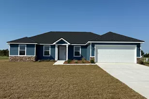 26302 NE Canton Rd, Altha, FL 32421 - Photo 1