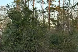 0000 Santa Rosa Ave, Southport, FL 32409 - Photo 1