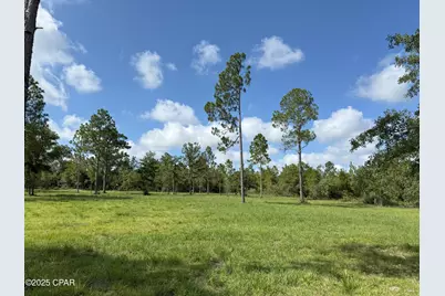 0 Lake Drive #Parcel A, Marianna, FL 32448 - Photo 1