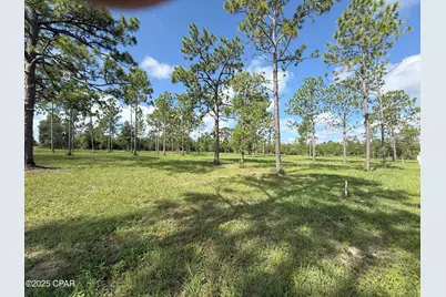 0 Petty Road #Parcel B, Marianna, FL 32448 - Photo 1