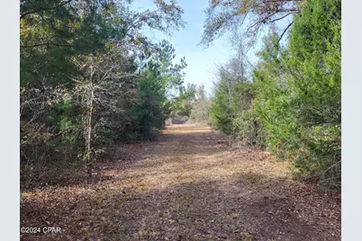 00 Tucker Road #Lot 4, Altha, FL 32421 - Photo 1