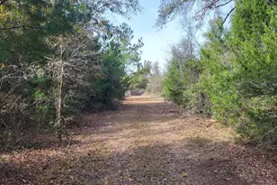 00 Tucker Rd, Altha, FL 32421 - Photo 1