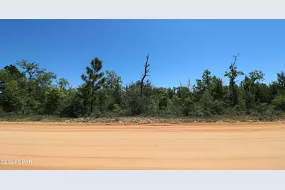 Lot 13 Petty Road, Marianna, FL 32448 - Photo 1