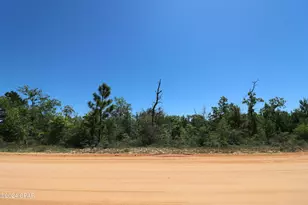 Lot 13 Petty Rd, Marianna, FL 32448 - Photo 1
