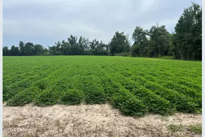2183 N Highway 73 Road, Marianna, FL 32448 - Photo 1