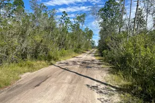 10941 Plum Nearly Rd, Fountain, FL 32438 - Photo 1