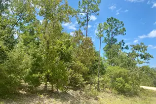 Lot 13 Noble Circle, Alford, FL 32420 - Photo 1