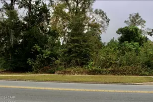 2972 Jefferson St, Marianna, FL 32446 - Photo 1
