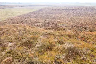 Xxx SE Oak Grove Rd, Kinard, FL 32449 - Photo 1