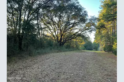 Tbd Post Oak Lane, Bonifay, FL 32425 - Photo 1