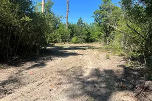 2222 Cypress Creek Rd, Cottondale, FL 32431 - Photo 1