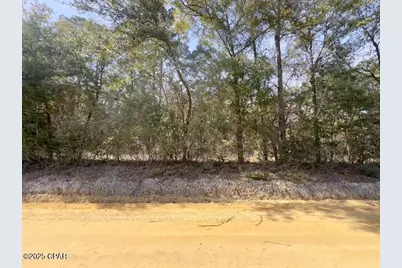 Xxx Bryant Bay Road, Caryville, FL 32427 - Photo 1