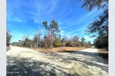 Lot 1 Whitetail Drive, Marianna, FL 32448 - Photo 1