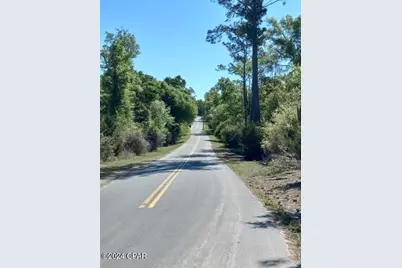 00 Tommy Tucker Road #Lot 5, Altha, FL 32421 - Photo 1