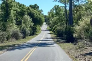 00 Tommy Tucker Rd, Altha, FL 32421 - Photo 1