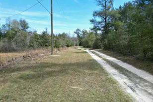 000 Belaire Dr, Greenwood, FL 32443 - Photo 1