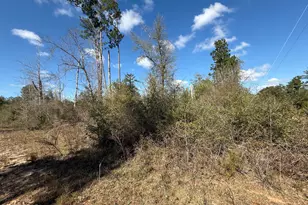 00 Tanager Ct, Marianna, FL 32448 - Photo 1