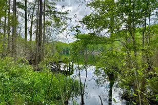 4661 Moss Hill Rd, Chipley, FL 32428 - Photo 1