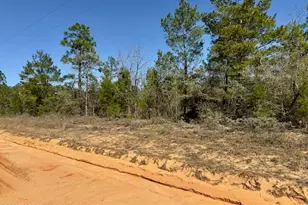 3139 Tumble Creek Blvd, Chipley, FL 32428 - Photo 1