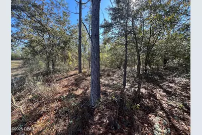 Lot 17 Shelby Court, Chipley, FL 32428 - Photo 1