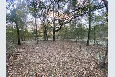 Xx Spendabuck Court, Chipley, FL 32428 - Photo 1