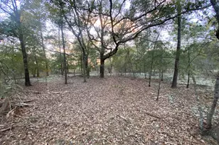 Xx Spendabuck Ct, Chipley, FL 32428 - Photo 1