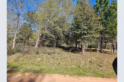 0 McPherson Drive, Alford, FL 32420 - Photo 1