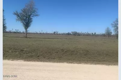 00 Bailey Cemetery Road, Clarksville, FL 32430 - Photo 1