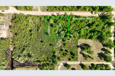 11810 Poinsettia Street, Fountain, FL 32438 - Photo 1