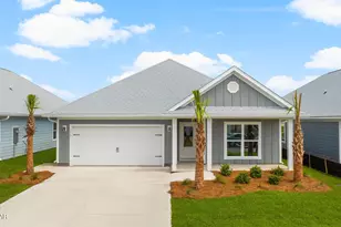 167 Needle Rush Dr, Port Saint Joe, FL 32456 - Photo 1